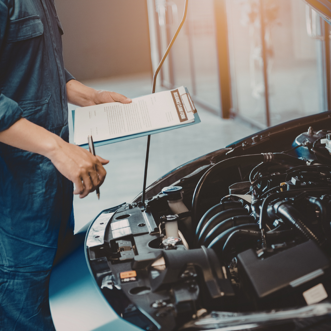 hervorming van Vlaamse autokeuring