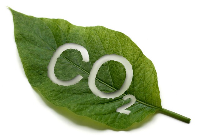 co2-bijdrage-bedrijfswagen-2027